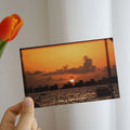 golden hour sunset photos wall collage postcard set roomtery