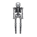 Spooky Halloween Foil Balloons Collection - Giant Skeleton