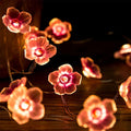 light pink aesthetic flower shaped led fairy lights