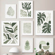 Sage Green Monstera Leaves Canvas Posters