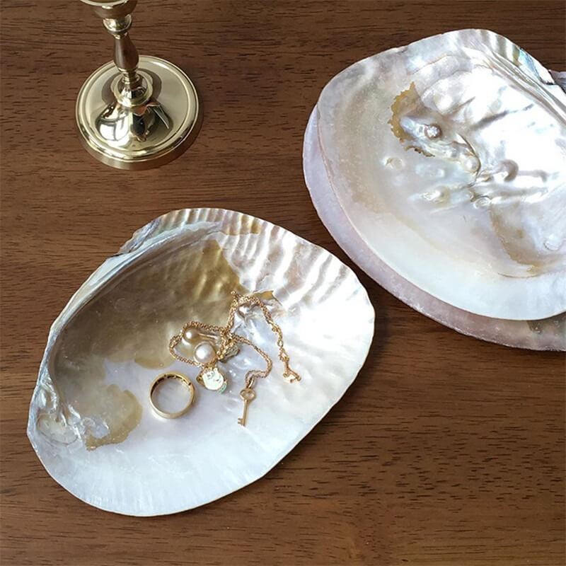 natural seashell coquette and vanilla girl aesthetic jewelry tray desk organizer