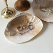 Natural Seashell Jewelry Tray