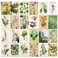 vintage cottagecore aesthetic floral print wall collage cards kit 