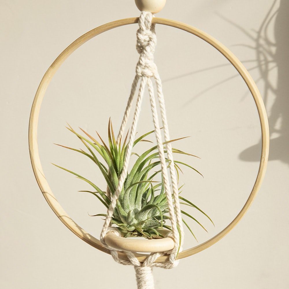 bohemian aesthetic macrame wooden plant hanger roomtery