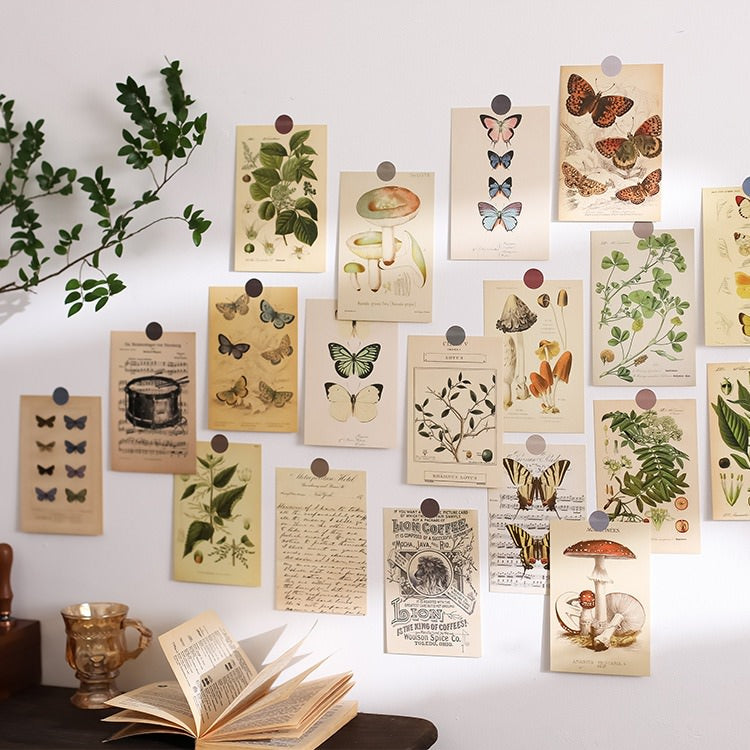 vintage cottagecore aesthetic botanical postcard set wall decor roomtery