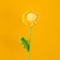 crochet daisy flower knitted bouquet aesthetic decor roomtery