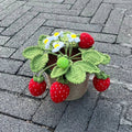 crochet hand knitted  potted strawberry bush flower aesthetic decor roomtery