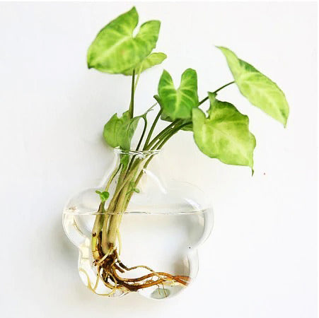 Glass Wall Hanging Flower Vase Ball Terrarium Fish Tank Plant Aquarium Container Transparent Planter Pots aesthetic decor roomtery