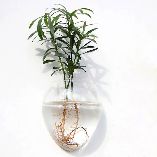 Glass Wall Hanging Flower Vase Ball Terrarium Fish Tank Plant Aquarium Container Transparent Planter Pots aesthetic decor roomtery