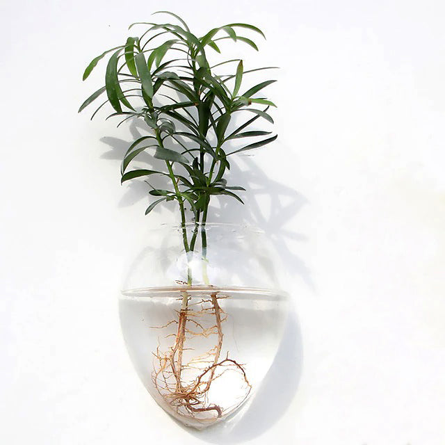 https://roomtery.com/cdn/shop/products/glass-wall-hanging-flower-vase-ball-terrarium-planter-pot-roomtery4.jpg?v=1657883173&width=1946