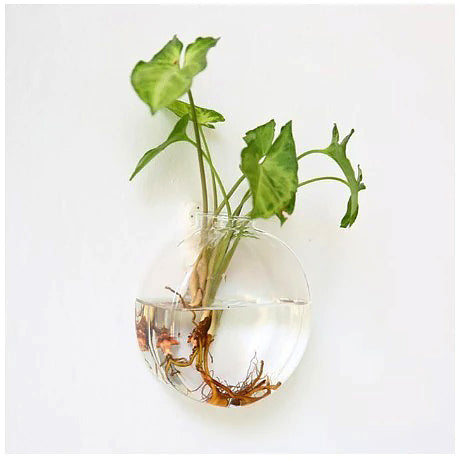 Glass Wall Hanging Flower Vase Ball Terrarium Fish Tank Plant Aquarium Container Transparent Planter Pots aesthetic decor roomtery