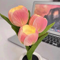 led potted tulip night light flower lamp roomtery