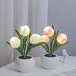 Mini Potted Tulip LED Night Light