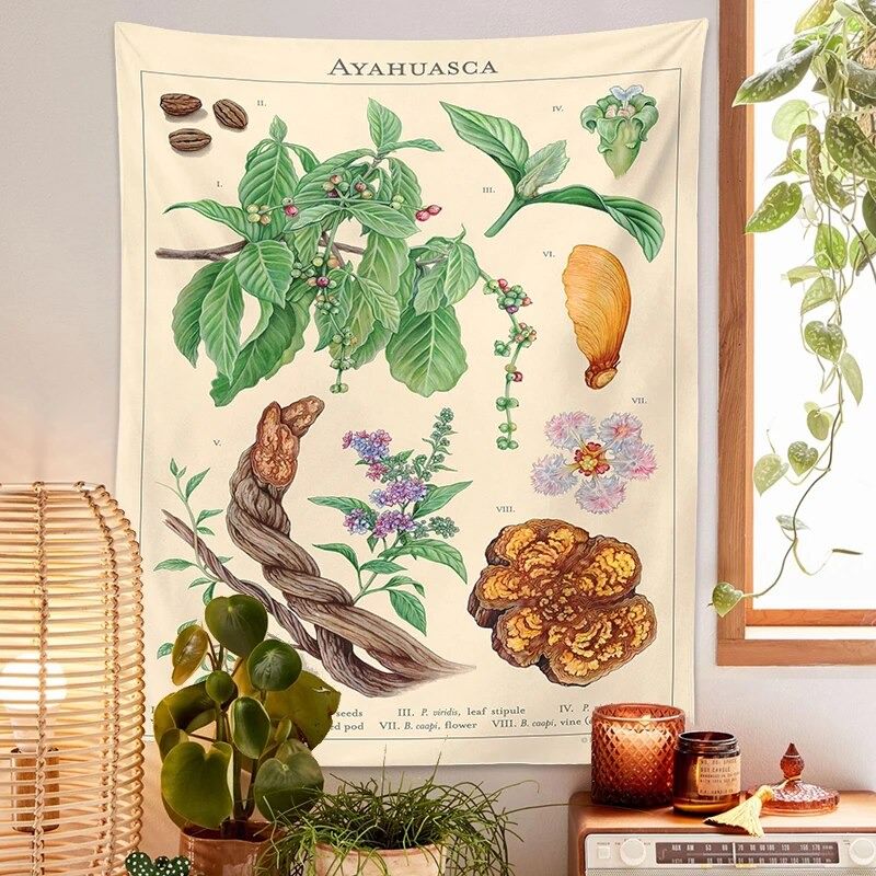 Aesthetic Hanging Vine Plants