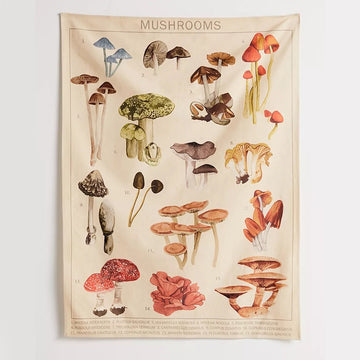 roomtery aesthetic tapestry mushroom print