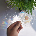 rainbow ambient sunlight sun catcher sticker roomtery