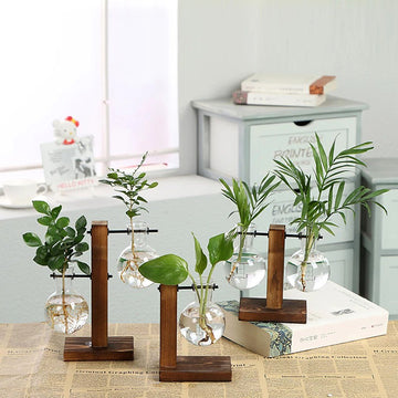 https://roomtery.com/cdn/shop/products/terrarium-bulb-flask-planter-aesthetic-wood-stand-vase-roomtery1.jpg?v=1655906141&width=360