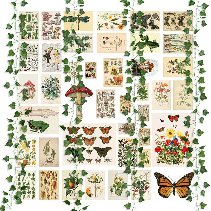 vintage botanical wall decor collage kit cottagecore aesthetic room decor roomtery