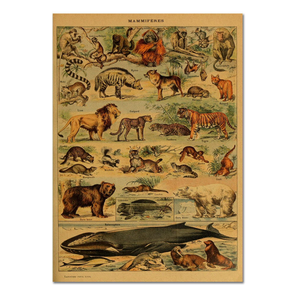animals vintage aesthetic paper retro poster roomtery
