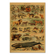 Mammals Vintage Kraft Paper Poster