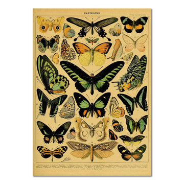 papillons butterflies vintage poster aesthetic prints roomtery