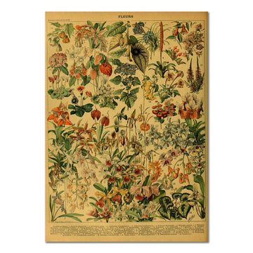flowers vintage botanical floral retro poster cottagecore aesthetic roomtery